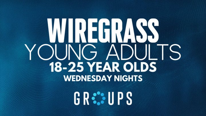 Logo for YOUNG ADULTS