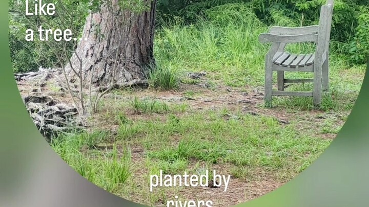 Logo for ReviveN2025