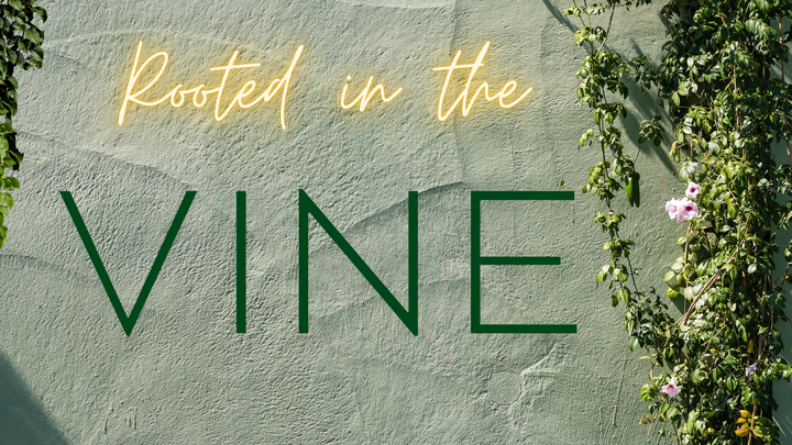 Logo for Rooted In The Vine