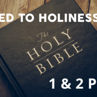 Logo for Called to Holiness - 1 & 2 Peter