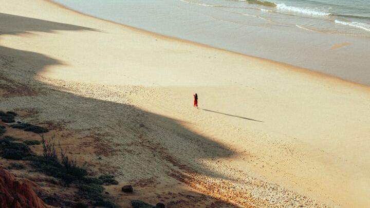 Logo for Peace in the Chaos