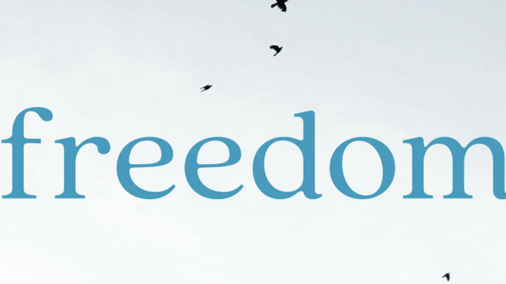 Logo for Women's Freedom Group