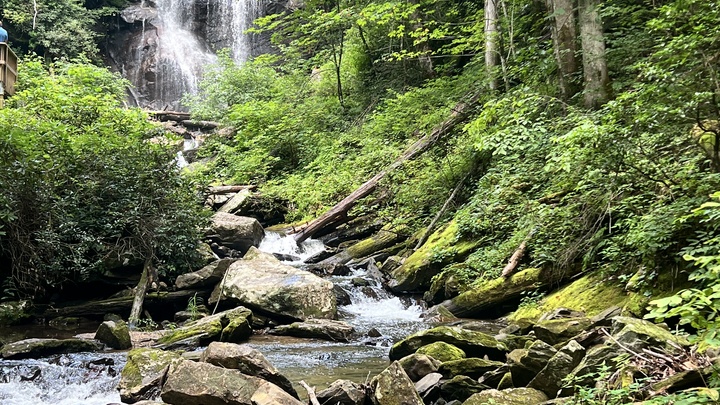 Logo for Women's Hiking Group - Melissa Toledo