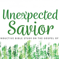 Logo for Women's Bible Study (Evenings)