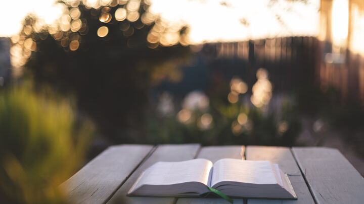 Logo for Fruita- Ladies Tuesday Bible (& Book) Study