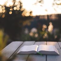 Logo for Fruita- Ladies Tuesday Bible (& Book) Study