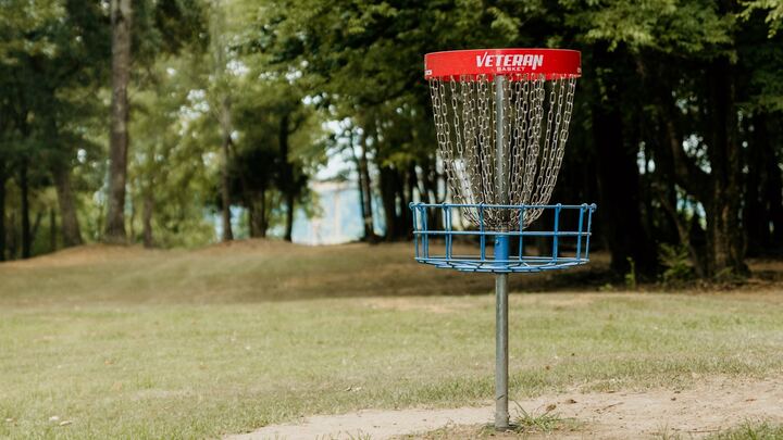 Logo for Disc Golf