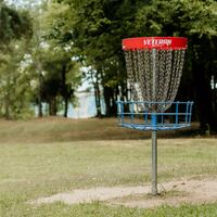 Logo for Disc Golf