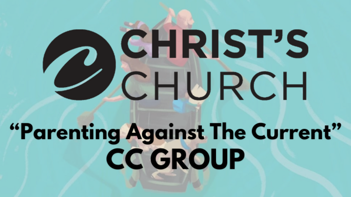 Logo for Parenting Against The Current