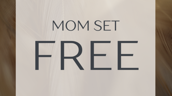 Logo for Mom Set Free