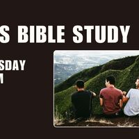 Logo for MENS BIBLE STUDY