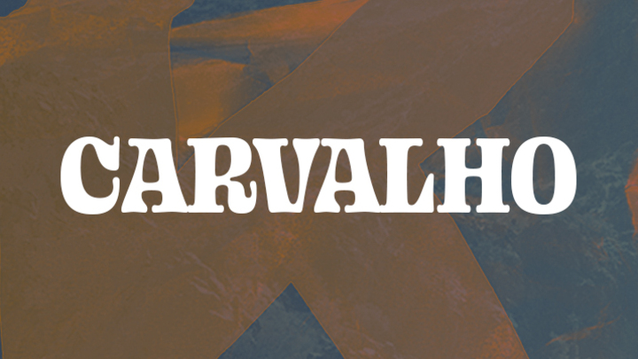 Logo for Bryan + Haleigh