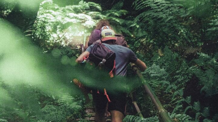 Logo for Hiking/Trail-walking | Mike + Maria Wulin_Fall 2025