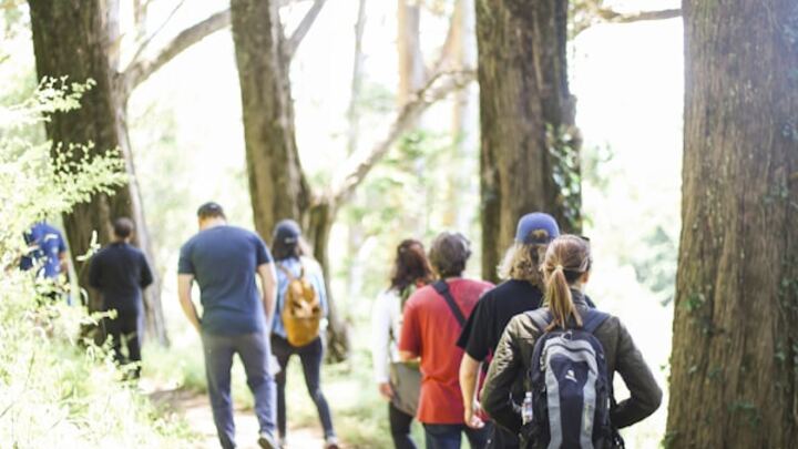 Logo for Hiking Group