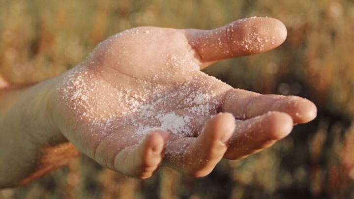 Logo for Adults - Salt + Light - Brian & Trina Siefker and Nick & Lupe Gomez