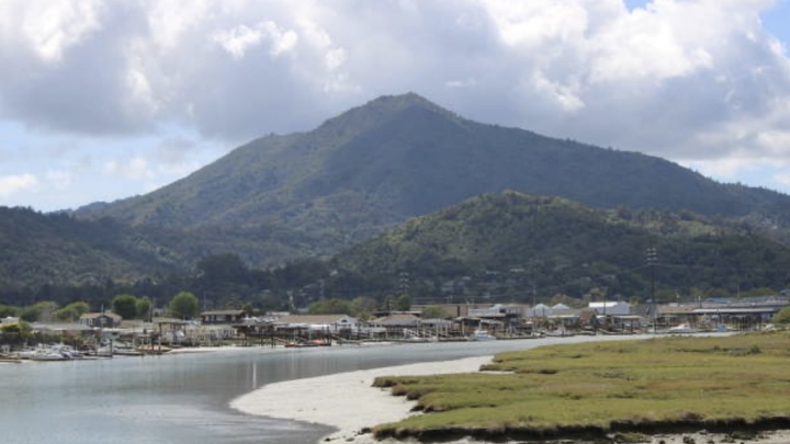 Logo for Women’s Marin Connect Group