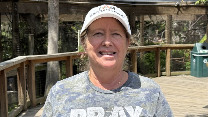 Logo for Message Application - Tuesdays