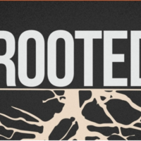 Logo for Riverside - Rooted