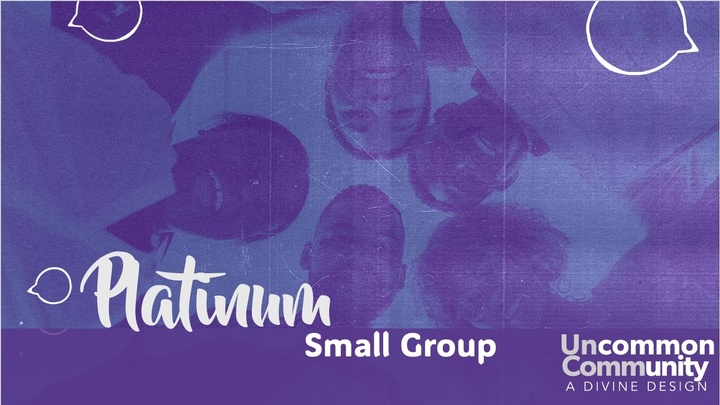Logo for Platinum Small Group