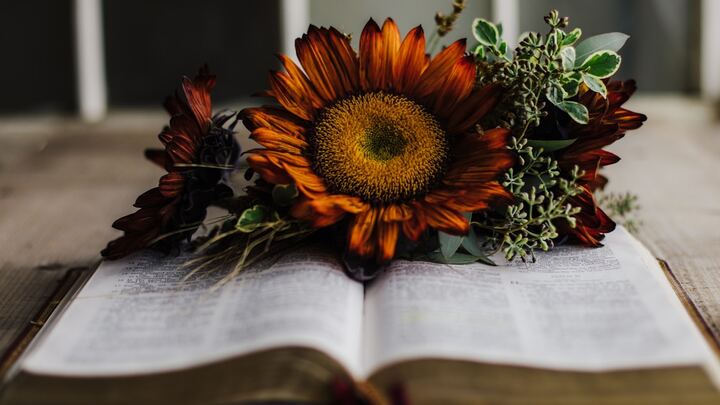 Logo for LEVELLAND -  Women's Table Groups