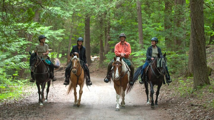 Logo for Horse Trail Riding Group