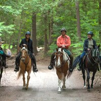 Logo for Horse Trail Riding Group