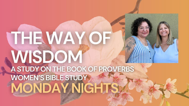 Logo for Ladies Bible Study on Proverbs