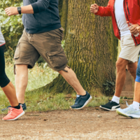 Logo for New Hope Walkers