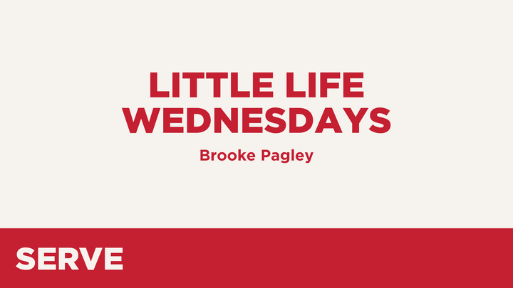 Logo for SERVE - Little Life (Wednesdays)