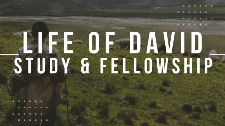 Logo for Life of David: Study & Fellowship