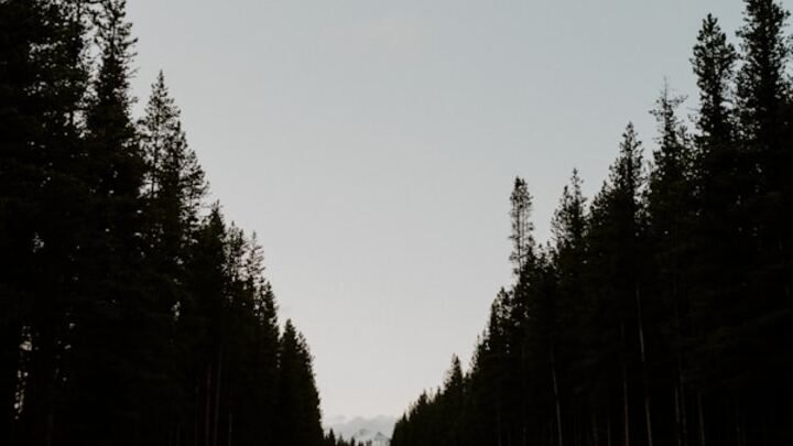 Logo for The Discipleship Journey - McMahon