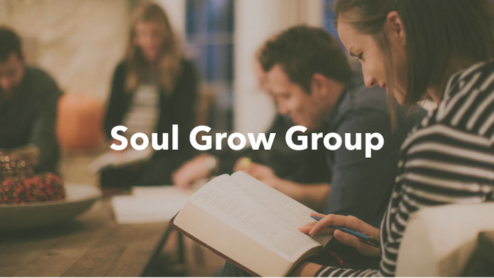 Logo for Soul Grow Group