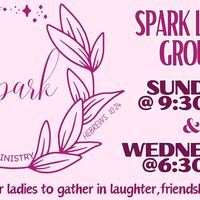 Logo for Spark Ladies Fellowship