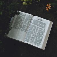 Logo for Commission Groups (Cornell)