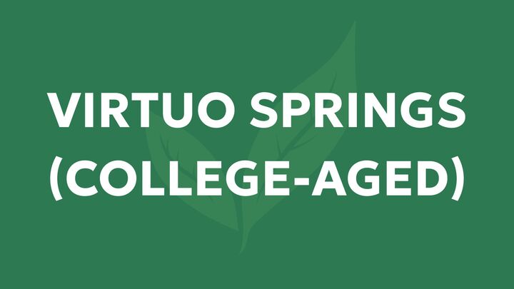 Logo for Virtuo Springs Life Group