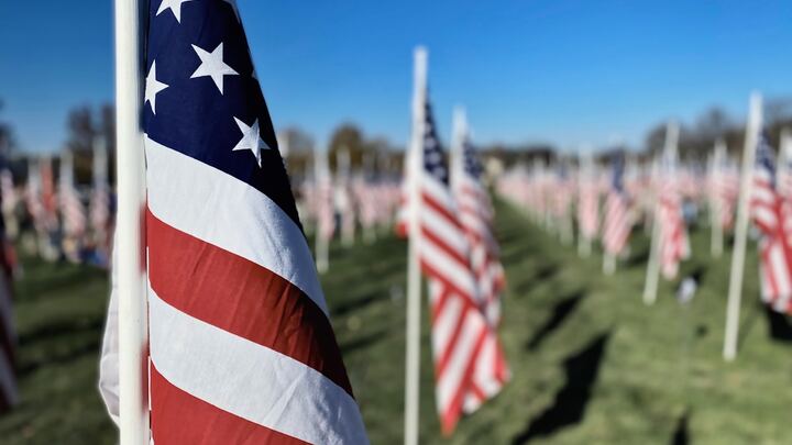 Logo for Veterans Life Group