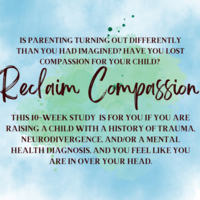 Logo for Reclaim Compassion