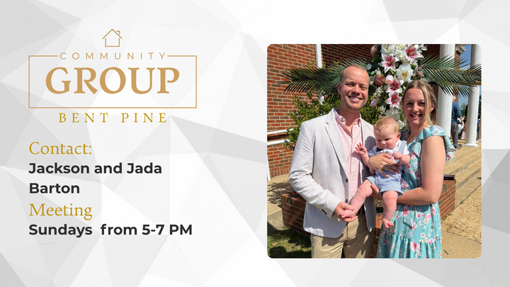 Logo for The Bent Pine Group