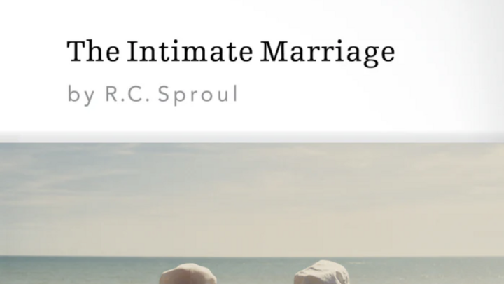 Logo for The Intimate Marriage