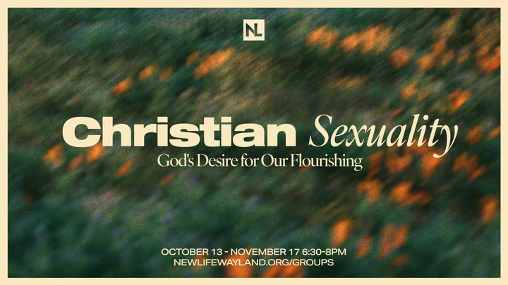 Logo for Christian Sexuality