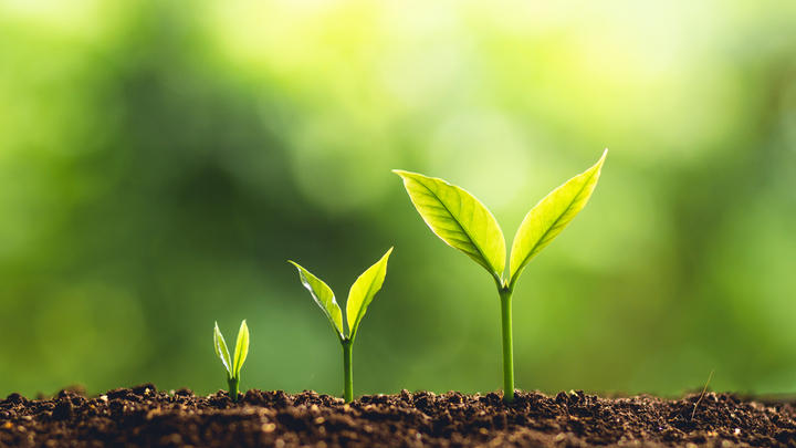 Logo for Grow In Grace