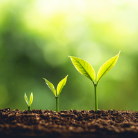 Logo for Grow In Grace