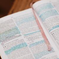 Logo for Sunday Connect Group 25-26