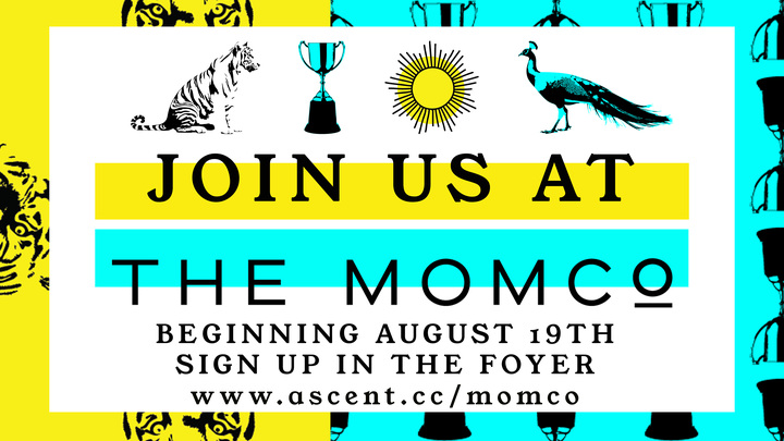 Logo for MomCo
