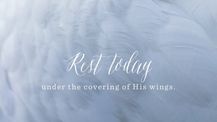Logo for In the Shadow of His Wings Women's Group
