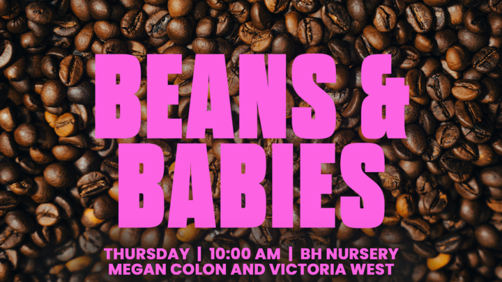 Logo for Beans and Babies
