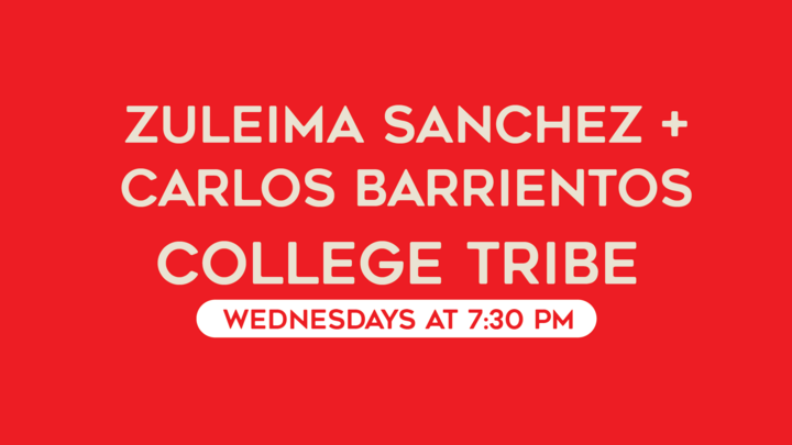 Logo for Zuleima + Carlos