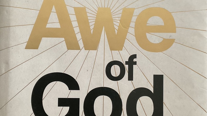 Logo for Seniors & YA (Scotch Plains)