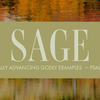 Logo for Sage Builders