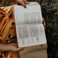 Logo for Ladies Bible Study: Ephesians